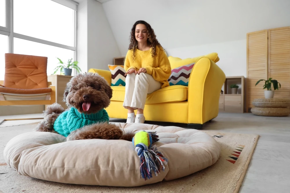 Celebra el Día Mundial de Amar a tu Mascota explorando Jalisco, Colima y Michoacán. Conoce las normativas y mejores parques públicos para viajar con ellos.